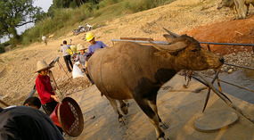 The Big Rides Good Bye (2)