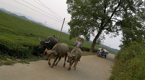 The Big Rides Good Bye (2)
