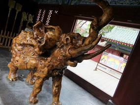 So Wonderful To Be Back In Kaifeng