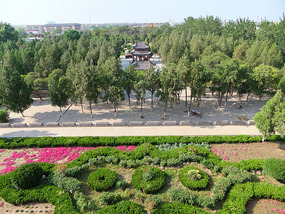 The Dragon Palace Adventure