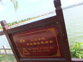 The Dragon Palace Adventure