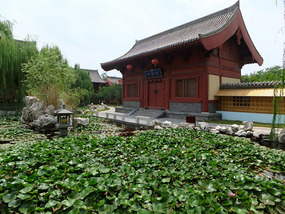 Qingming Gardens Adventure