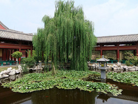 Qingming Gardens Adventure