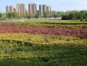Getting To Know  XianYang