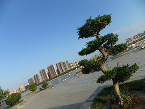 Getting To Know  XianYang