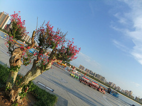 Getting To Know  XianYang