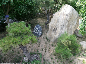 Xianyang Museum & Temple