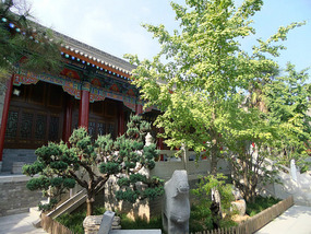 Xianyang Museum & Temple
