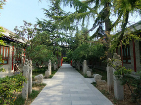 Xianyang Museum & Temple