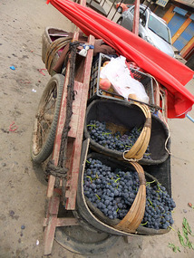 Hancheng Old Town & An Infected Foot