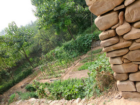 Dangjiacun  Village Adventure