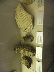 The Zhengzhou Museum Adventure