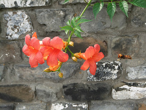 The Zhonghua City Gate Adventure