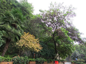 The Zhonghua City Gate Adventure