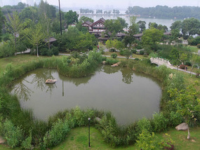 Ming Wall & Xuanwu Lake