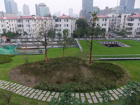 Ming Wall & Xuanwu Lake