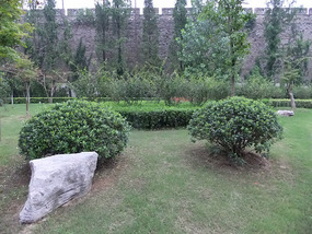 Ming Wall & Xuanwu Lake