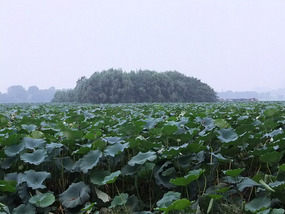 Ming Wall & Xuanwu Lake