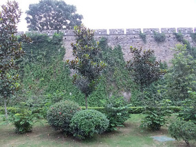 Ming Wall & Xuanwu Lake