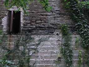 Ming Wall & Xuanwu Lake