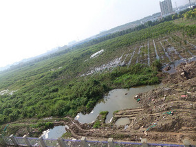 New Huai'An School & Rugrats
