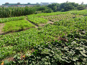 My District In Huai'An City