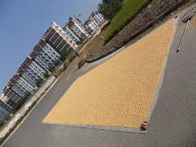 A Cornalishess Ride To The Sun & Moon Eco Park