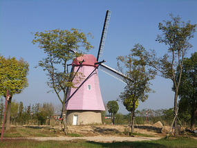 A Cornalishess Ride To The Sun & Moon Eco Park