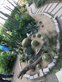 A Cornalishess Ride To The Sun & Moon Eco Park
