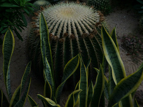 A Cornalishess Ride To The Sun & Moon Eco Park