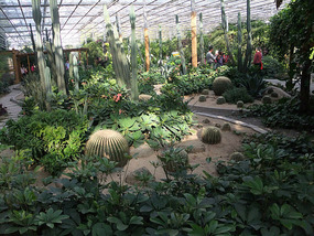 A Cornalishess Ride To The Sun & Moon Eco Park