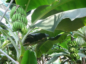 A Cornalishess Ride To The Sun & Moon Eco Park