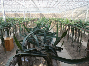 A Cornalishess Ride To The Sun & Moon Eco Park