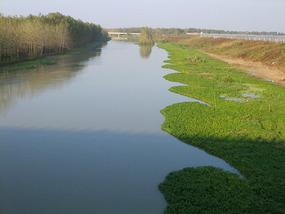 A Cornalishess Ride To The Sun & Moon Eco Park