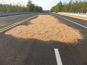 A Cornalishess Ride To The Sun & Moon Eco Park