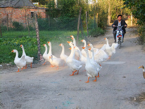 A Cornalishess Ride To The Sun & Moon Eco Park