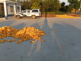 A Cornalishess Ride To The Sun & Moon Eco Park
