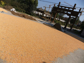 A Cornalishess Ride To The Sun & Moon Eco Park