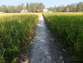 A Cornalishess Ride To The Sun & Moon Eco Park