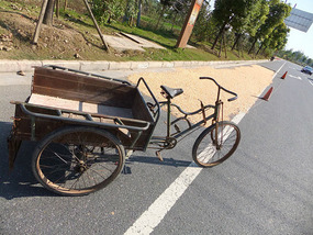 A Cornalishess Ride To The Sun & Moon Eco Park