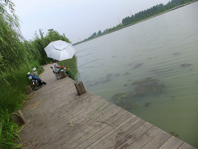 The Grand Canal Adventures