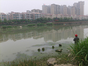 The Grand Canal Adventures