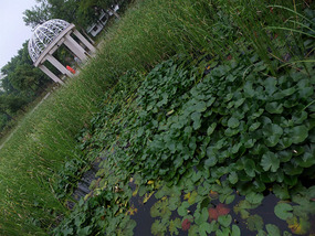 Temple & Lake Park Adventures