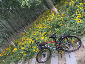 Temple & Pagoda  Wet Lands Adventures