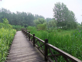 Temple & Pagoda  Wet Lands Adventures