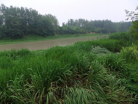 Temple & Pagoda  Wet Lands Adventures