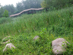 Temple & Pagoda  Wet Lands Adventures