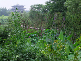 Temple & Pagoda  Wet Lands Adventures