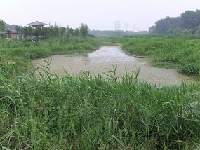 Temple & Pagoda  Wet Lands Adventures