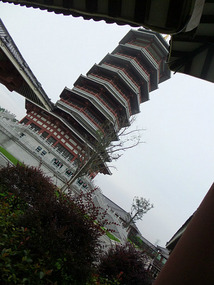 Temple & Pagoda  Wet Lands Adventures
